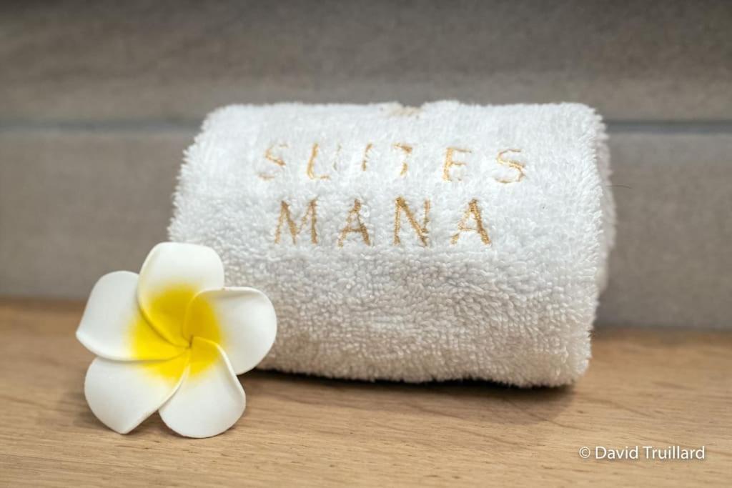 Suites Mana - Matahina Avec Vue Superbe Sur La Place Ducale Et Parking Prive Inclus Charleville-Mézières المظهر الخارجي الصورة